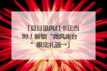 夏日追风打卡正当时！解锁“微风露台”限定礼遇→