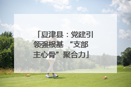夏津县：党建引领强根基 “支部主心骨”聚合力