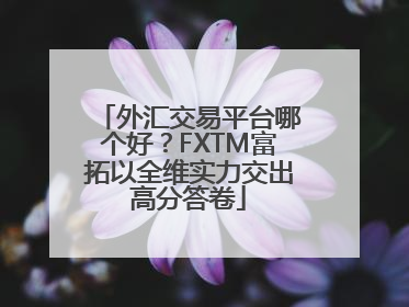 外汇交易平台哪个好？FXTM富拓以全维实力交出高分答卷
