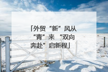 外贸“新”风从“青”来 “双向奔赴”启新程
