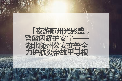 夜游随州光影盛，警徽闪耀护安宁——湖北随州公安交警全力护航炎帝故里寻根节夜游活动侧记