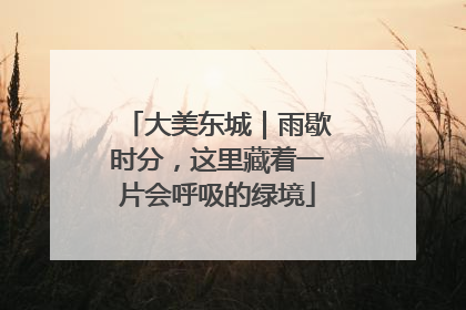 大美东城｜雨歇时分，这里藏着一片会呼吸的绿境