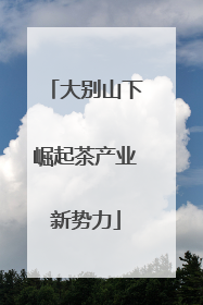 大别山下崛起茶产业新势力