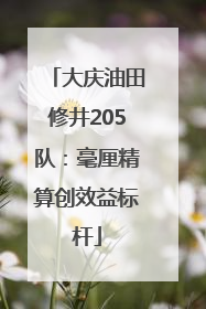 大庆油田修井205队：毫厘精算创效益标杆
