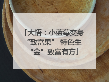 大悟：小蓝莓变身“致富果” 特色生“金”致富有方