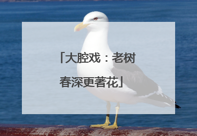 大腔戏：老树春深更著花