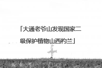 大通老爷山发现国家二级保护植物山西杓兰