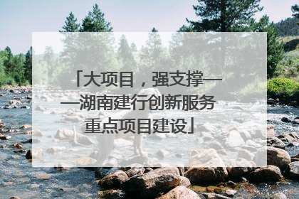 大项目，强支撑——湖南建行创新服务重点项目建设