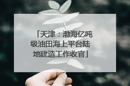 天津：渤海亿吨级油田海上平台陆地建造工作收官