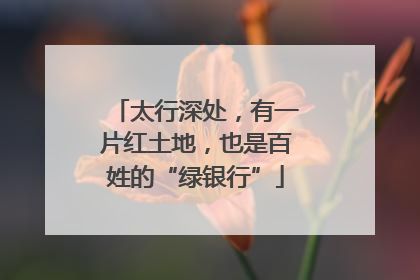 太行深处，有一片红土地，也是百姓的“绿银行”