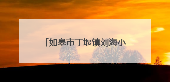 如皋市丁堰镇刘海小学：个性化教育 解锁每个孩子的超能力