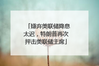 嫌弃美联储降息太迟，特朗普再次抨击美联储主席
