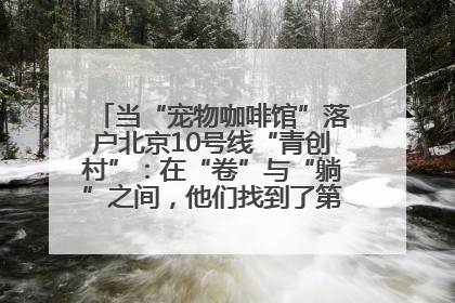 当“宠物咖啡馆”落户北京10号线“青创村”：在“卷”与“躺”之间，他们找到了第三种生活公式