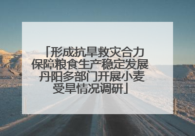 形成抗旱救灾合力 保障粮食生产稳定发展 丹阳多部门开展小麦受旱情况调研