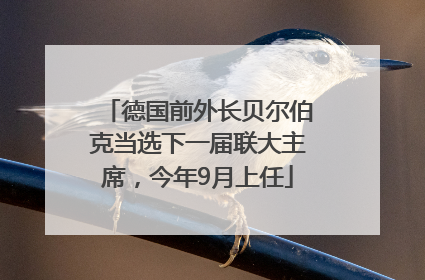 德国前外长贝尔伯克当选下一届联大主席，今年9月上任