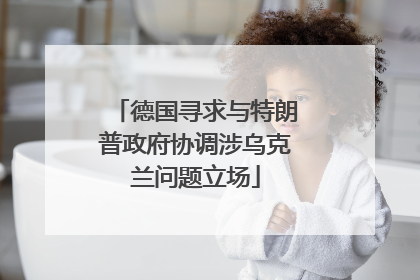 德国寻求与特朗普政府协调涉乌克兰问题立场