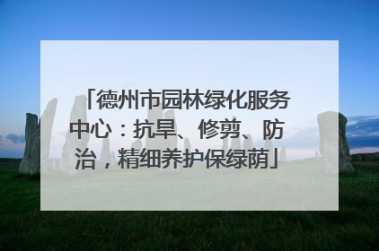 德州市园林绿化服务中心：抗旱、修剪、防治，精细养护保绿荫