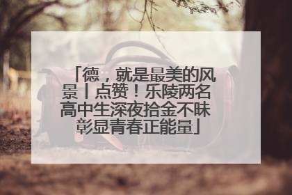德，就是最美的风景丨点赞！乐陵两名高中生深夜拾金不昧 彰显青春正能量