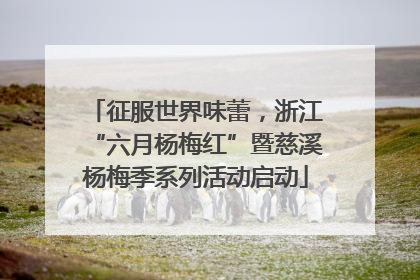 征服世界味蕾，浙江“六月杨梅红”暨慈溪杨梅季系列活动启动