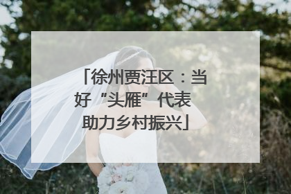 徐州贾汪区：当好“头雁”代表 助力乡村振兴
