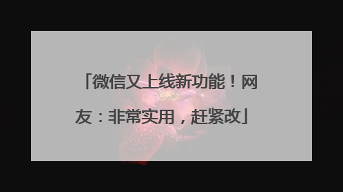 微信又上线新功能！网友：非常实用，赶紧改