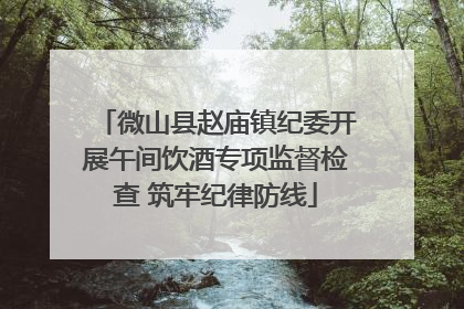 微山县赵庙镇纪委开展午间饮酒专项监督检查 筑牢纪律防线