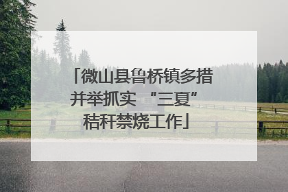 微山县鲁桥镇多措并举抓实 “三夏” 秸秆禁烧工作