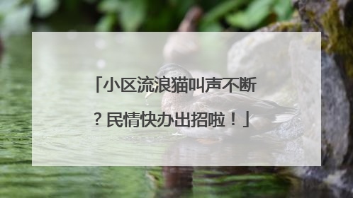 小区流浪猫叫声不断？民情快办出招啦！