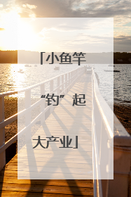 小鱼竿“钓”起大产业