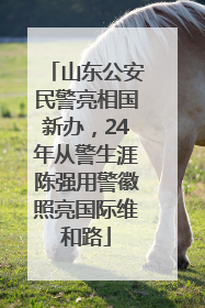 山东公安民警亮相国新办，24年从警生涯陈强用警徽照亮国际维和路