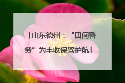 山东德州：“田间警务”为丰收保驾护航