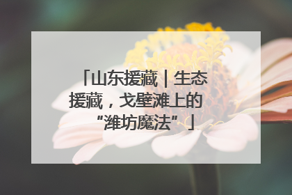 山东援藏｜生态援藏，戈壁滩上的“潍坊魔法”
