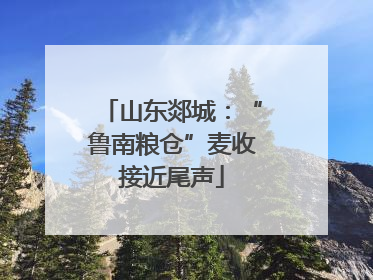 山东郯城：“鲁南粮仓”麦收接近尾声