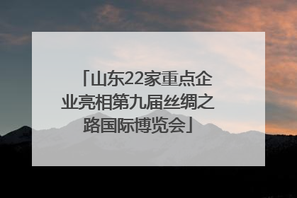 山东22家重点企业亮相第九届丝绸之路国际博览会