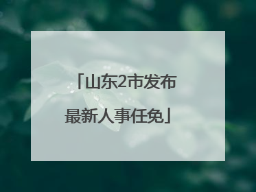 山东2市发布最新人事任免