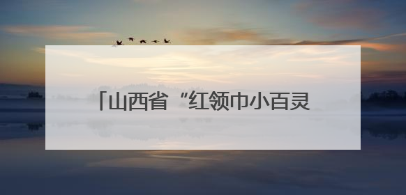 山西省“红领巾小百灵”合唱展演活动举行