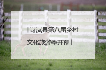 岢岚县第八届乡村文化旅游季开幕