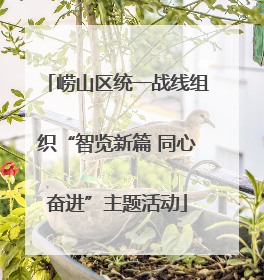 崂山区统一战线组织“智览新篇 同心奋进”主题活动