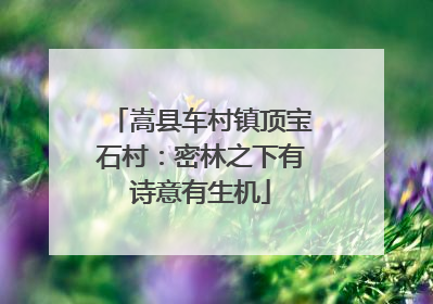 嵩县车村镇顶宝石村：密林之下有诗意有生机