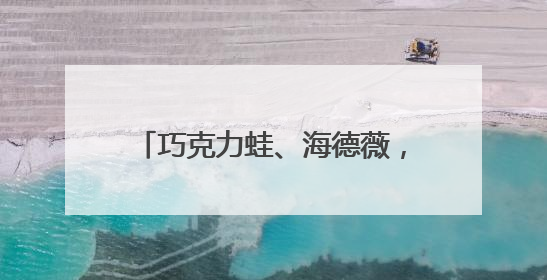 巧克力蛙、海德薇，北京地铁站内可以买到“魔法”交通卡了
