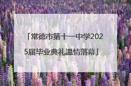 常德市第十一中学2025届毕业典礼温情落幕