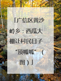 广信区黄沙岭乡：西瓜大棚让村民日子“顶呱呱”（图）