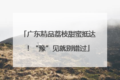 广东精品荔枝甜蜜抵达！“豫”见就别错过