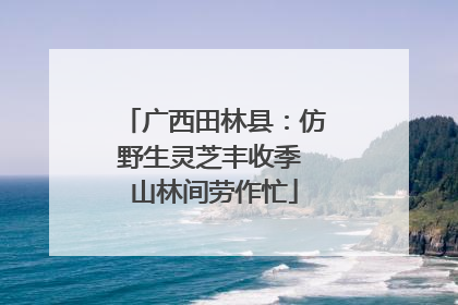 广西田林县：仿野生灵芝丰收季 山林间劳作忙