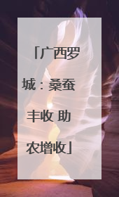 广西罗城：桑蚕丰收 助农增收