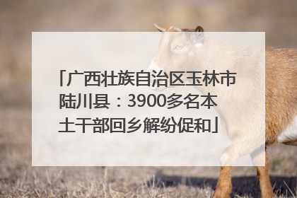 广西壮族自治区玉林市陆川县：3900多名本土干部回乡解纷促和
