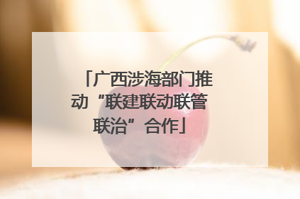 广西涉海部门推动“联建联动联管联治”合作