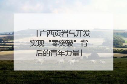 广西页岩气开发实现“零突破”背后的青年力量