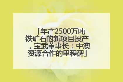 年产2500万吨铁矿石的新项目投产，宝武董事长：中澳资源合作的里程碑