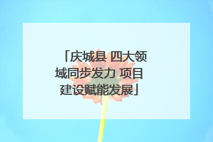 庆城县 四大领域同步发力 项目建设赋能发展